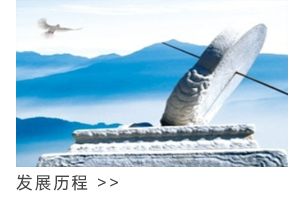 发展历程