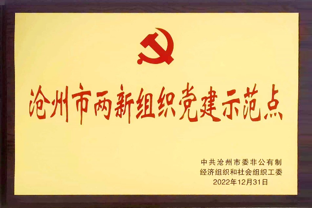 Cangzhou City Two New Organization Party Building Demonstration Site