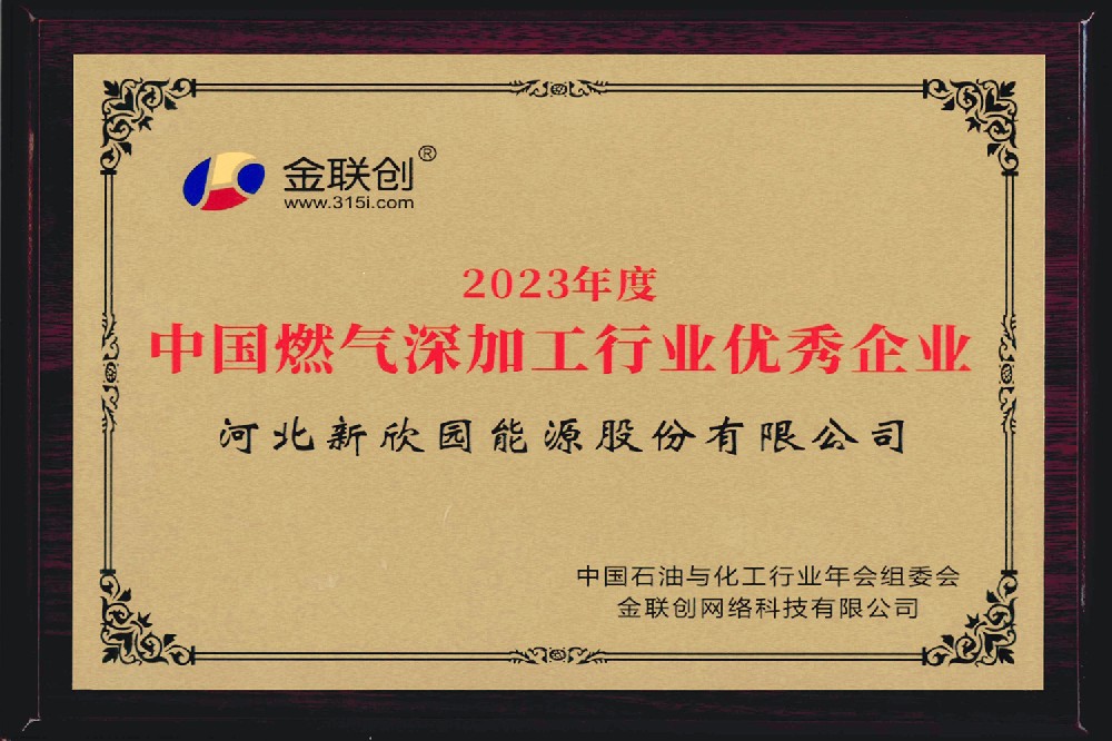 中国燃气深加工行业优秀企业
