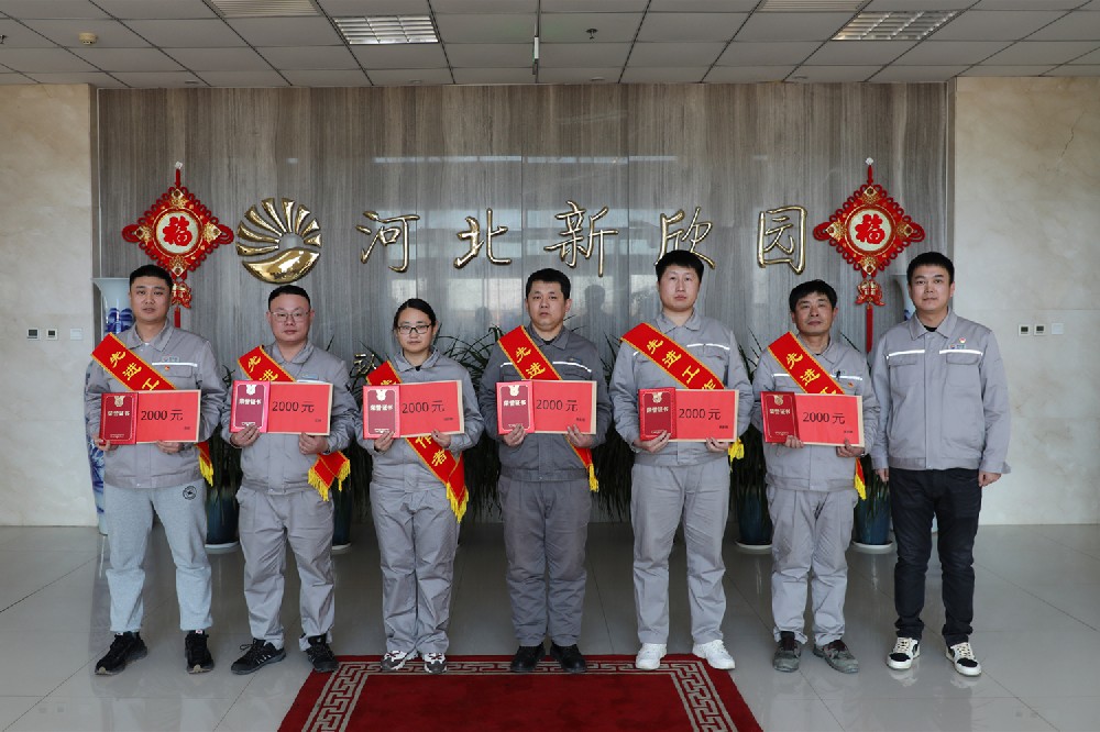 公司级先进工作者表彰
