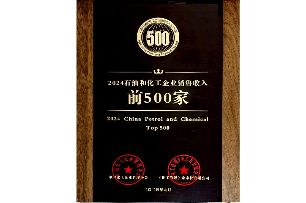 2024年石油和化工企业销售收入500强
