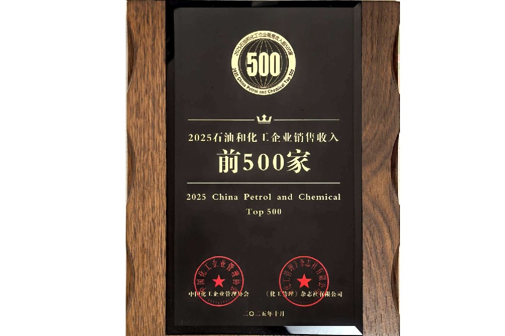2025石油和化工企业销售收入前500家