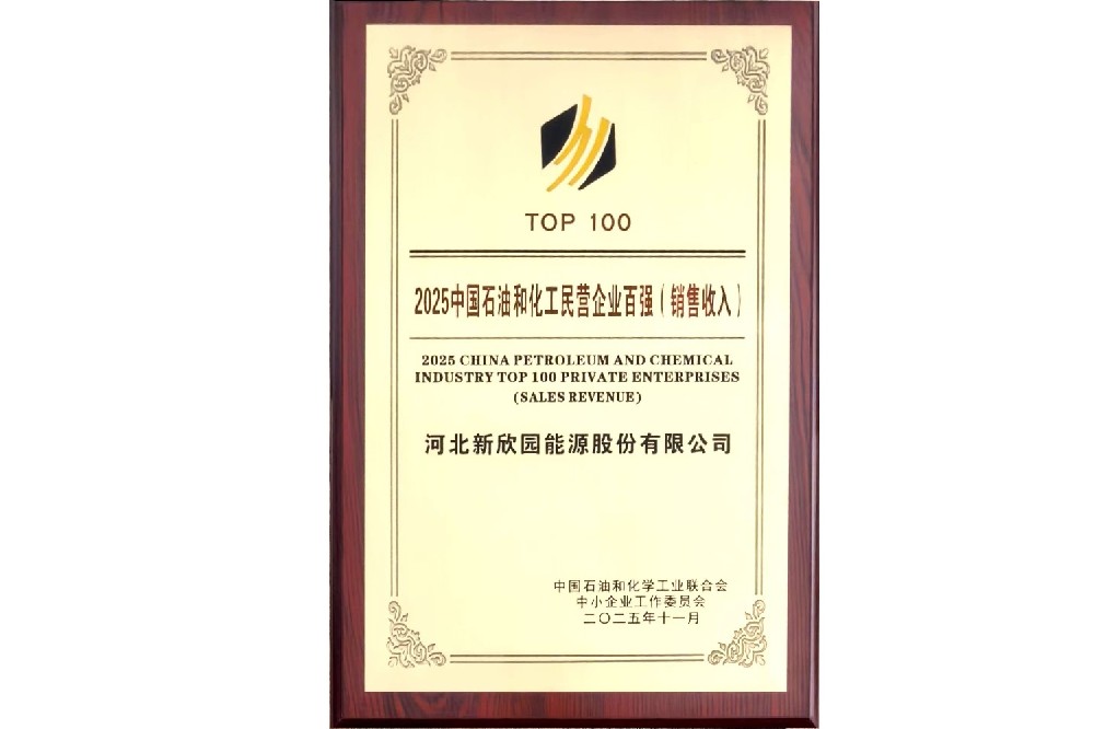 Top 100 Private Enterprises in China's Petroleum and Petrochemical Industry (Sales Revenue) in 2025